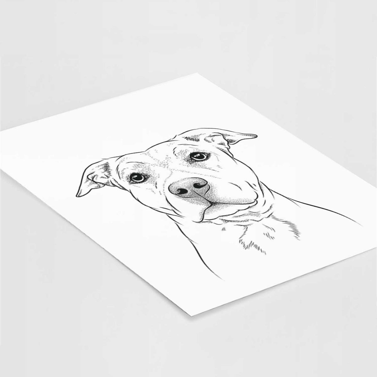 Bailey the American Staffordshire Terrier Art Print