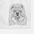 Baloo the Chow Chow Decorative Hand Towel