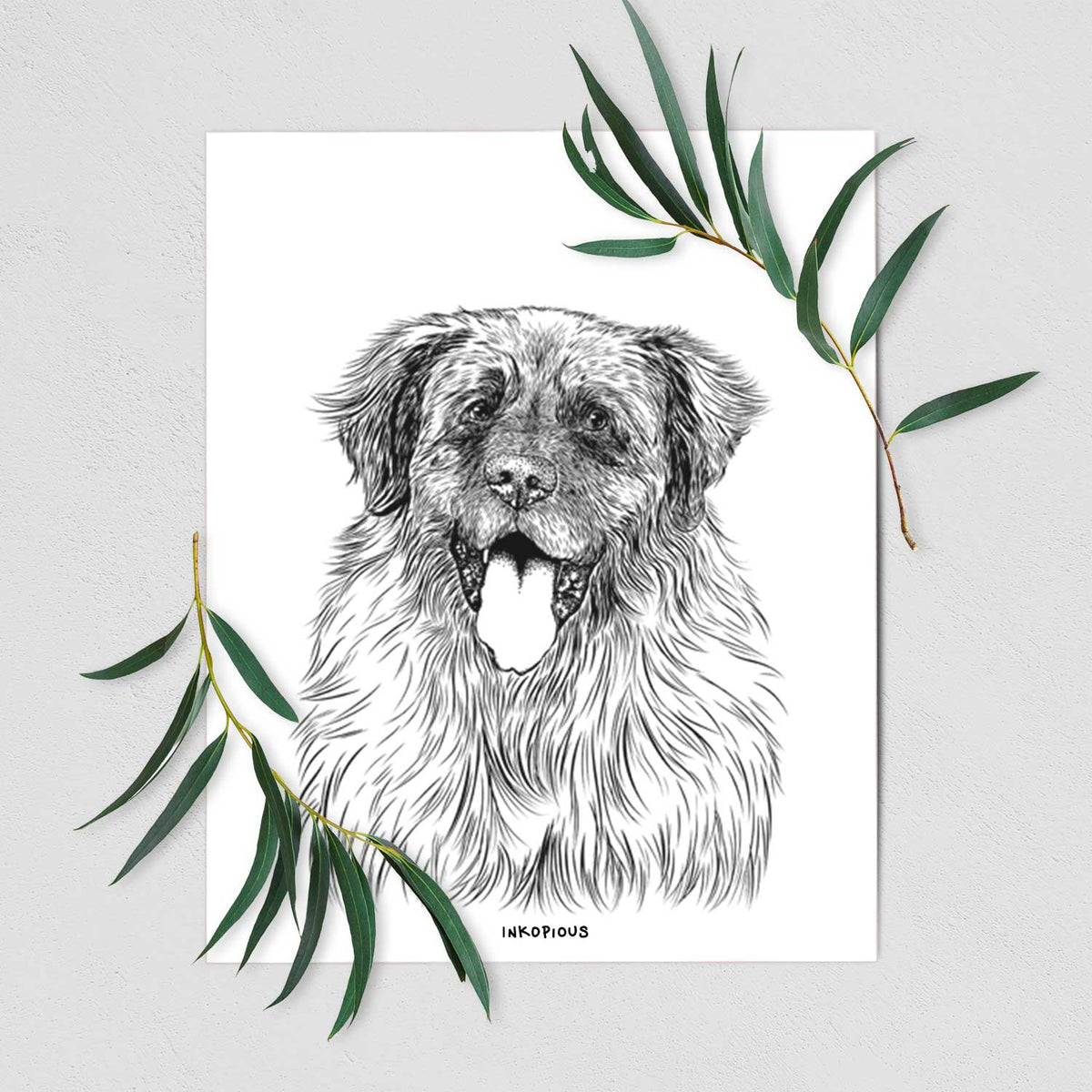 Bamboo the Leonberger Art Print