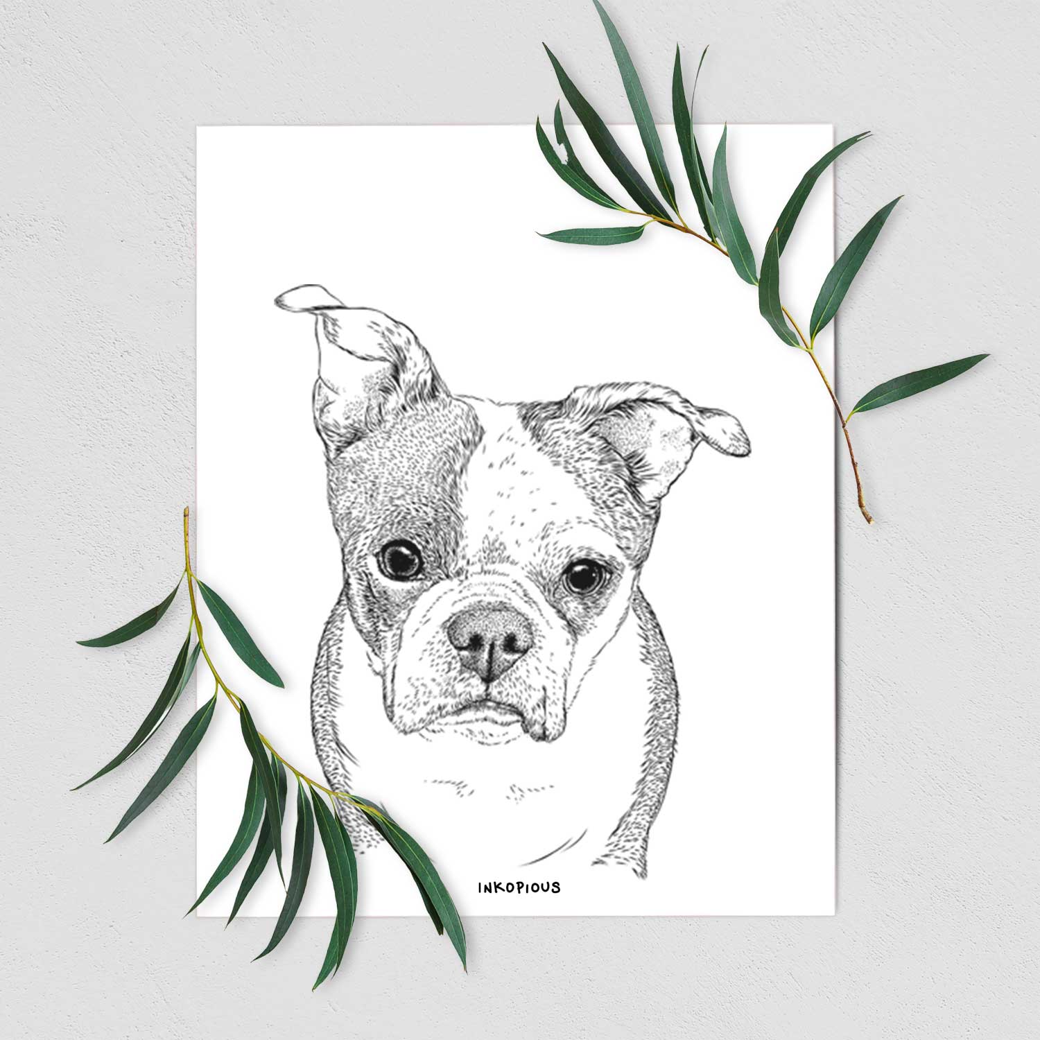 Bandit the Boston Terrier Art Print