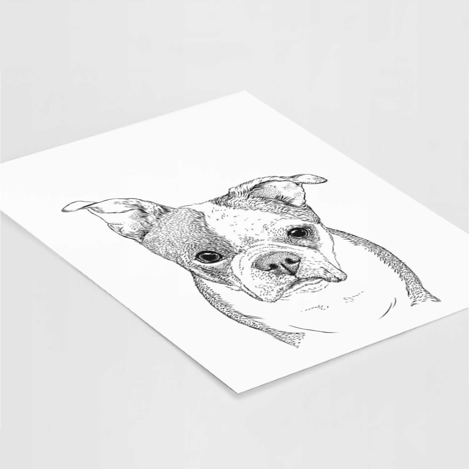 Bandit the Boston Terrier Art Print