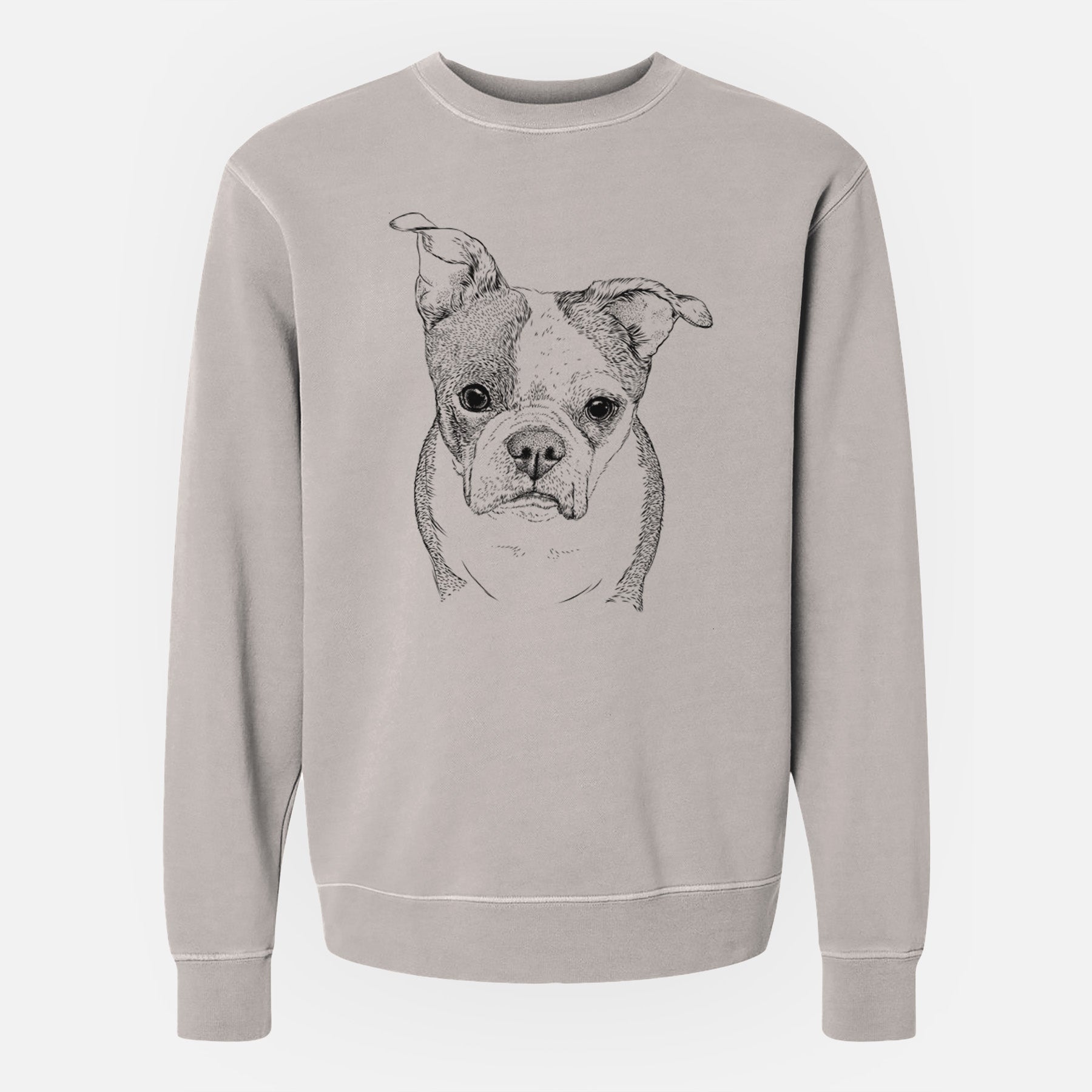 Bare Bandit the Boston Terrier - Unisex Pigment Dyed Crew Sweatshirt