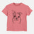 Bare Bandit the Boston Terrier - Kids/Youth/Toddler Shirt