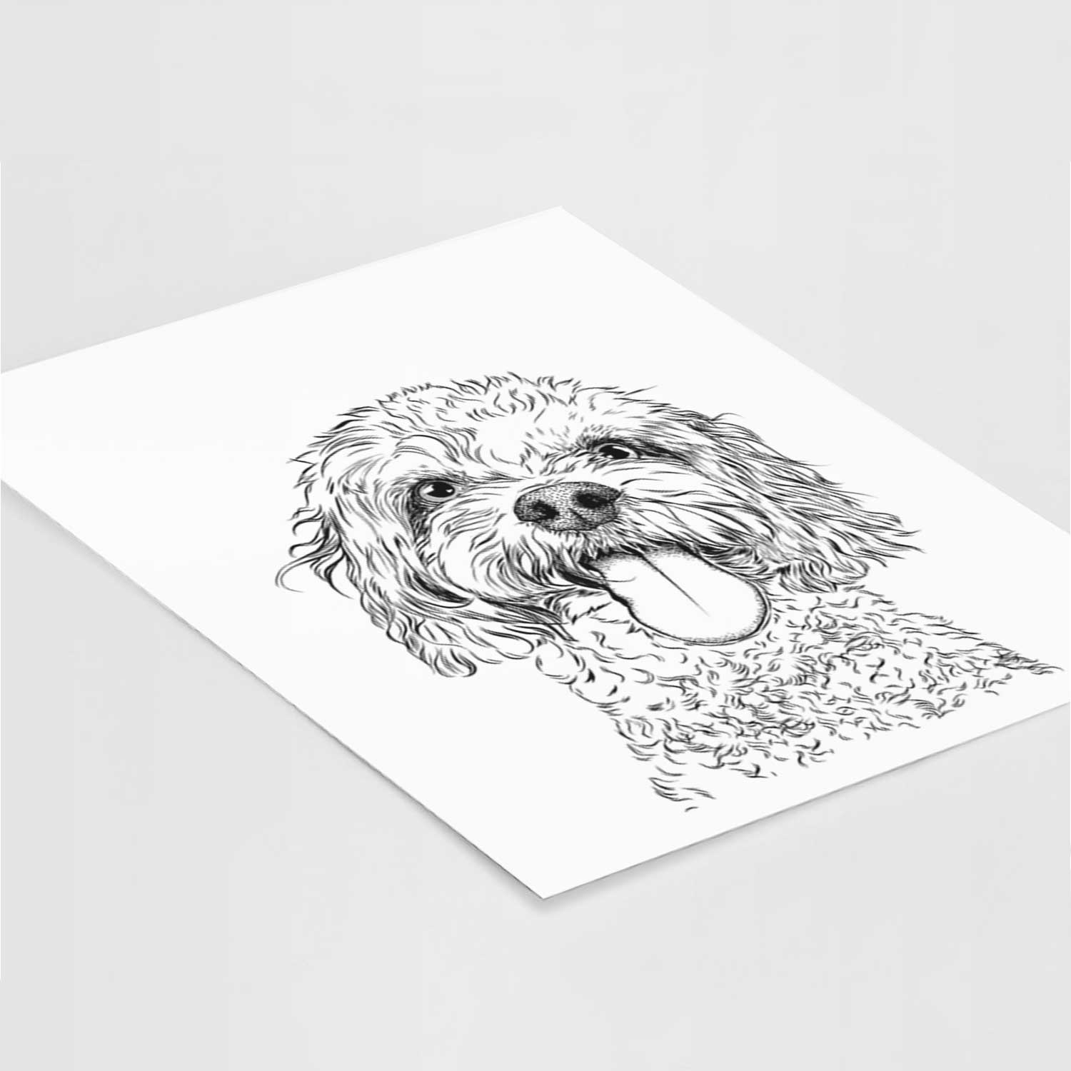 Barney the Cavachon Art Print