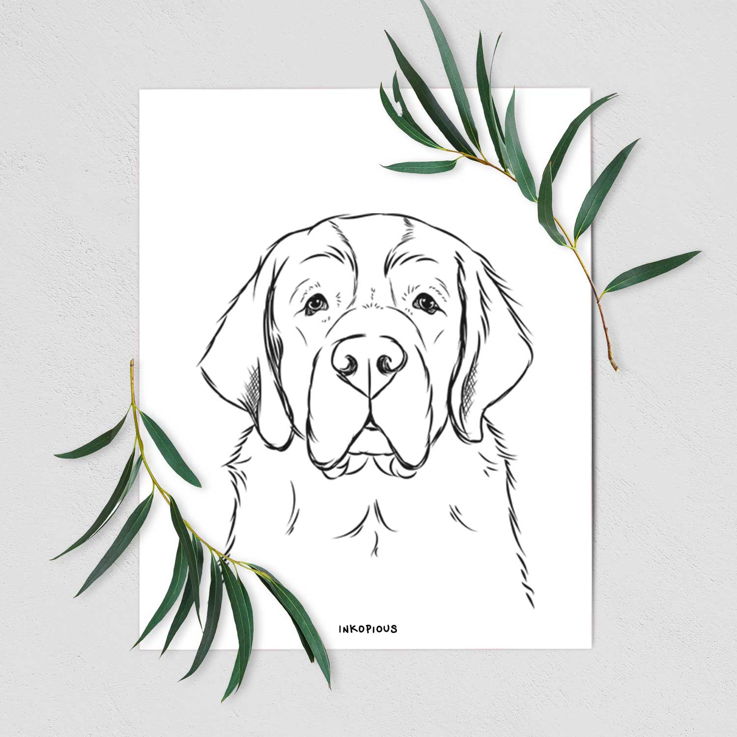 Barry the Saint Bernard Art Print