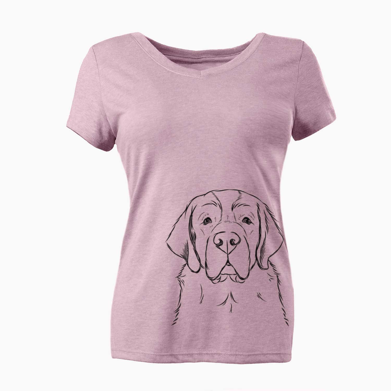 Barry the Saint Bernard - Women's V-neck Shirt