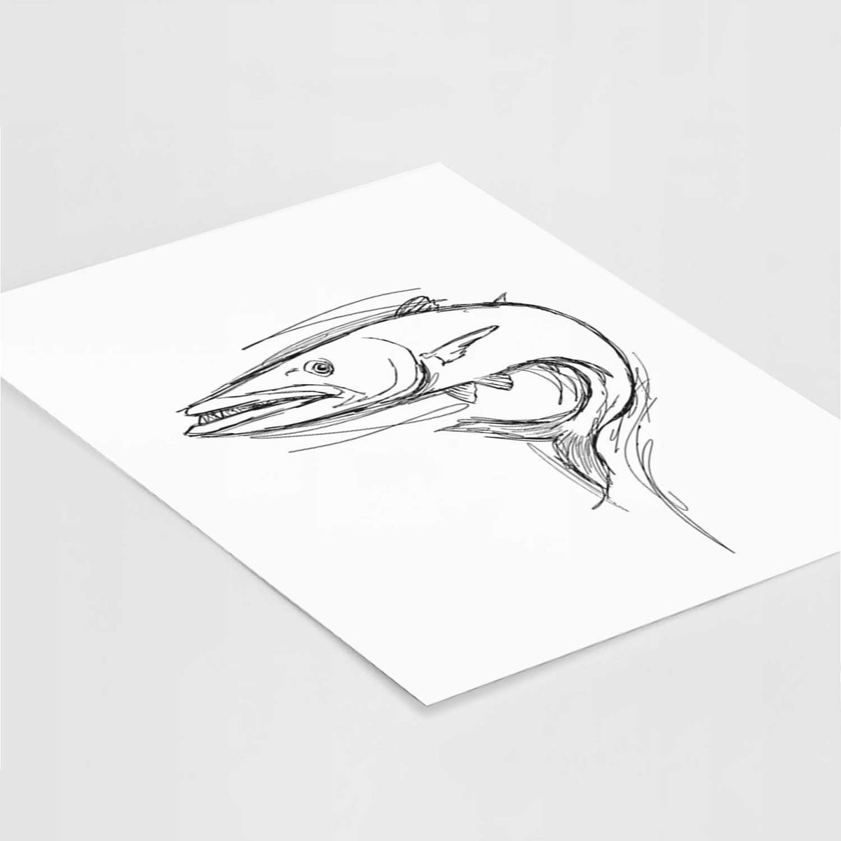 Barry the Barracuda Art Print