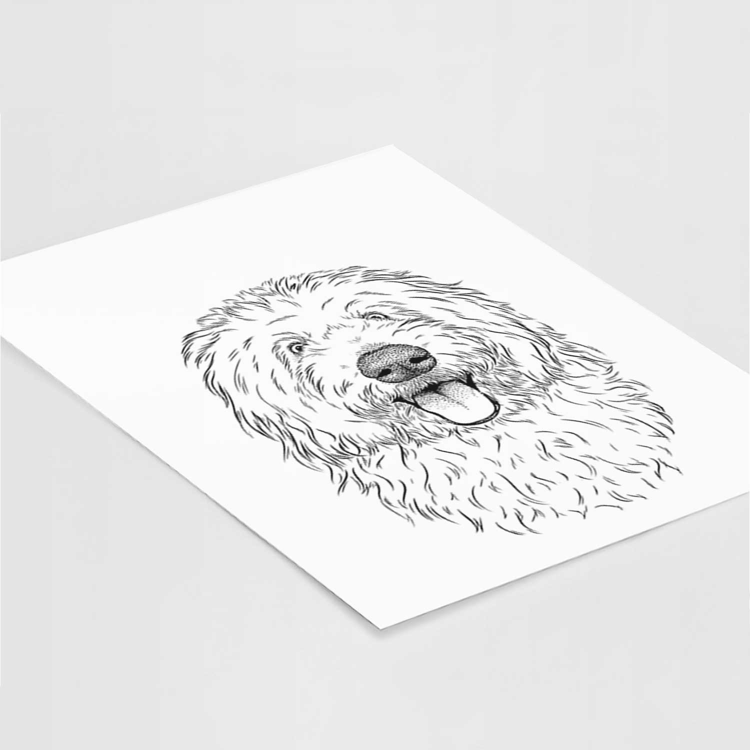 Barry the Old English Sheepdog Art Print