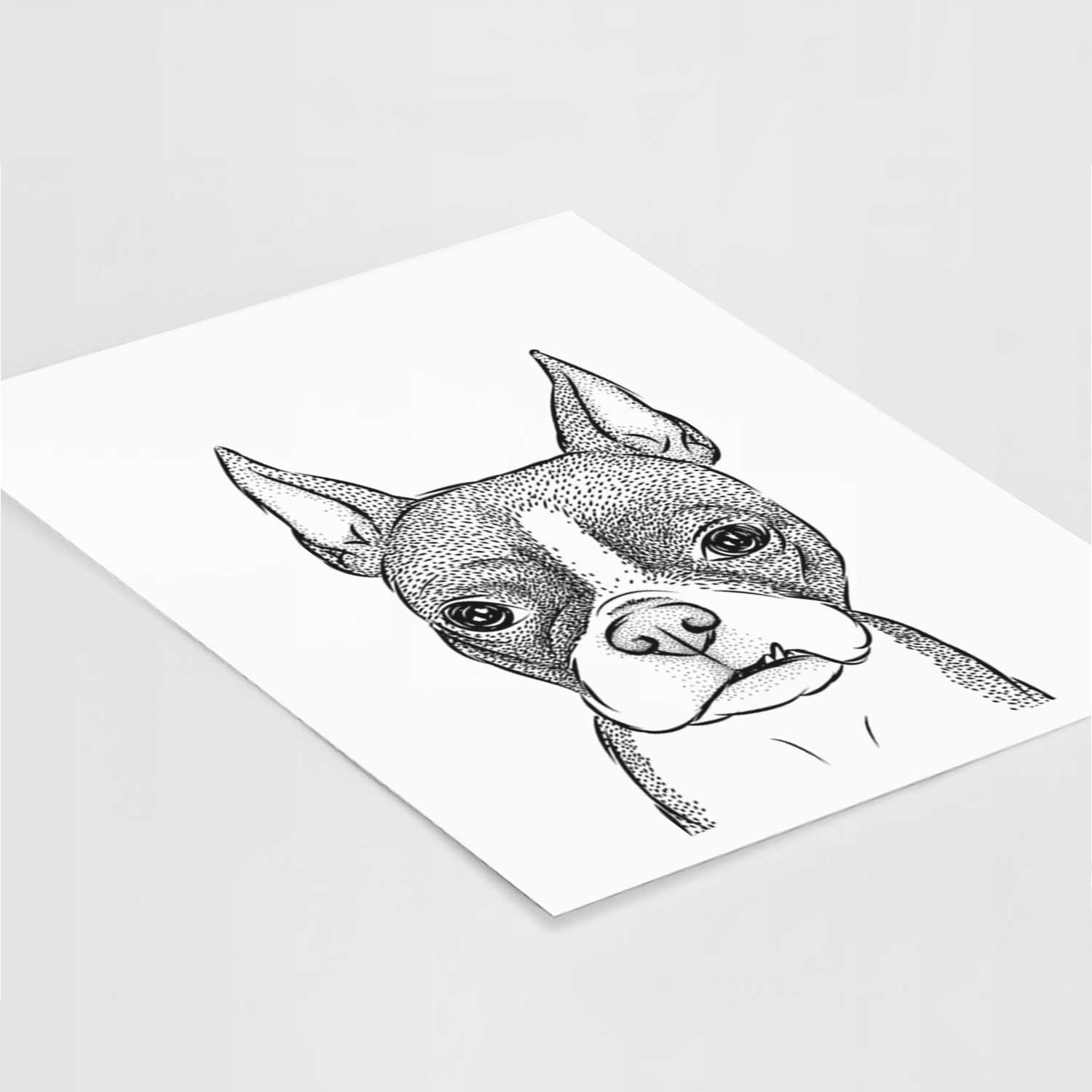 Bean the Boston Terrier Art Print