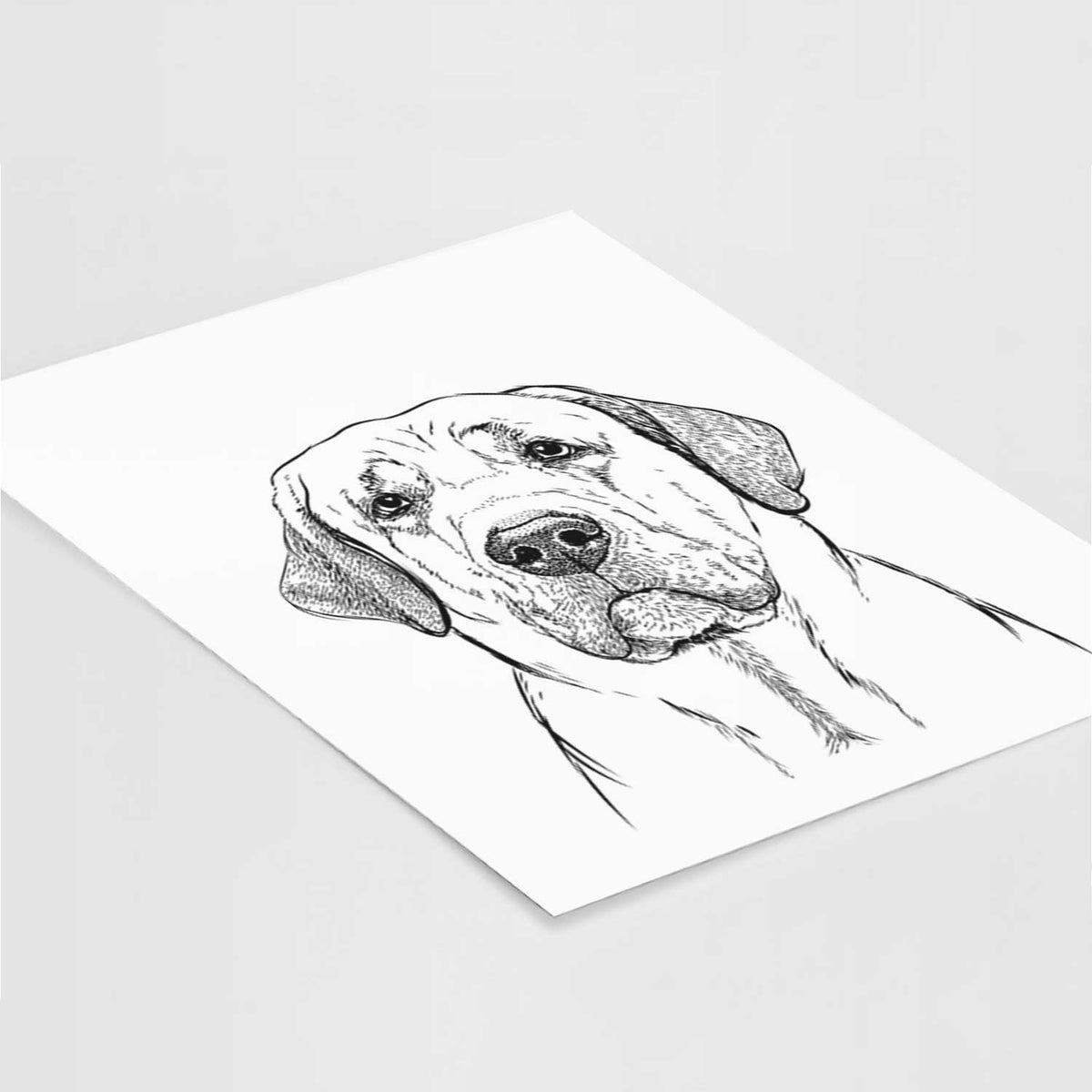 Beau the Broholmer Art Print