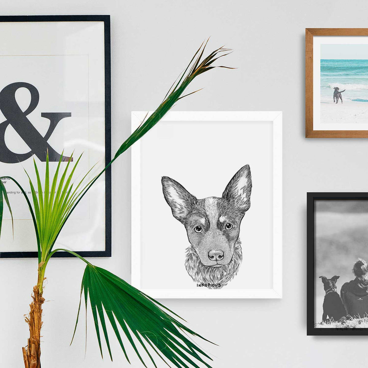 Bella the Blue Heeler Puppy Art Print