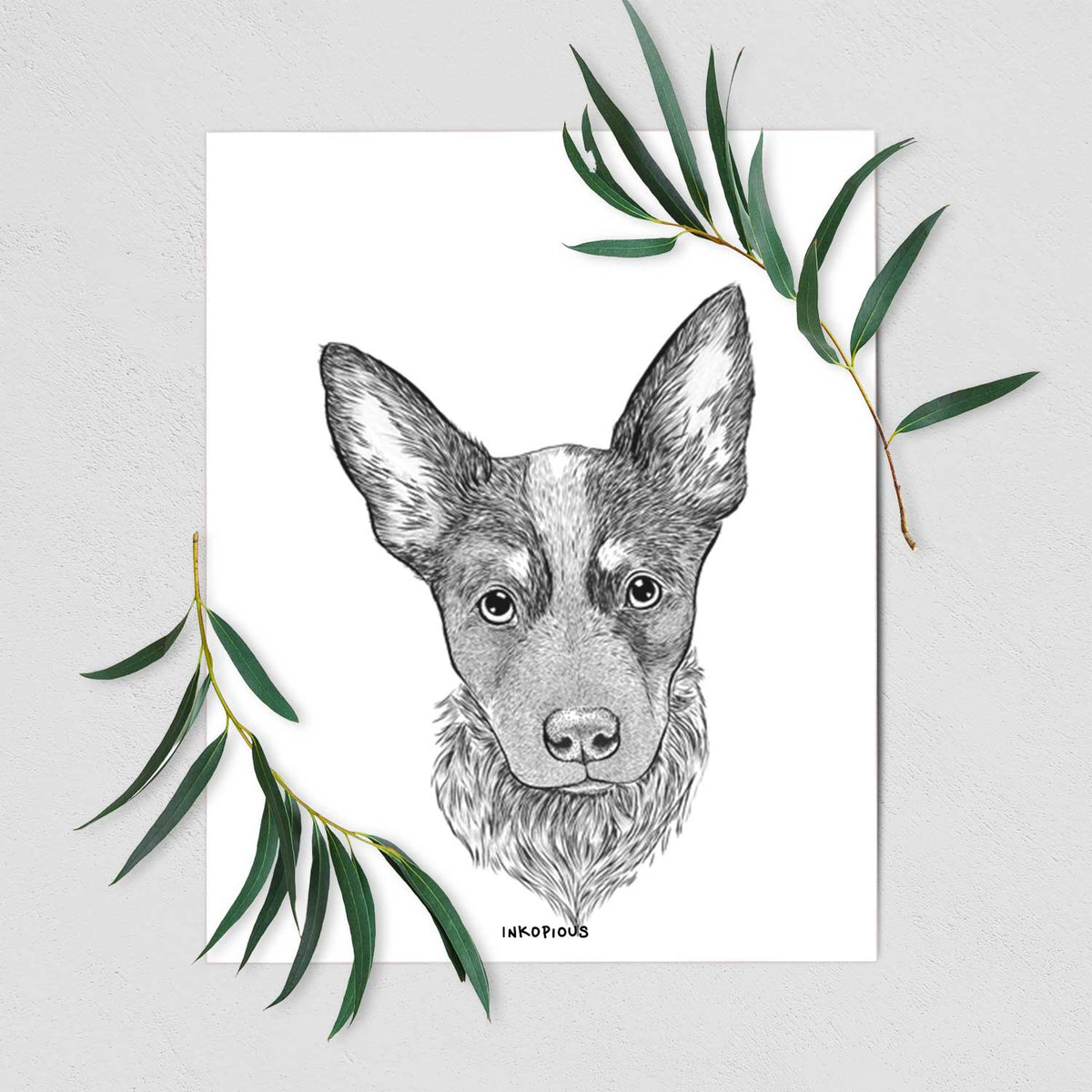 Bella the Blue Heeler Puppy Art Print