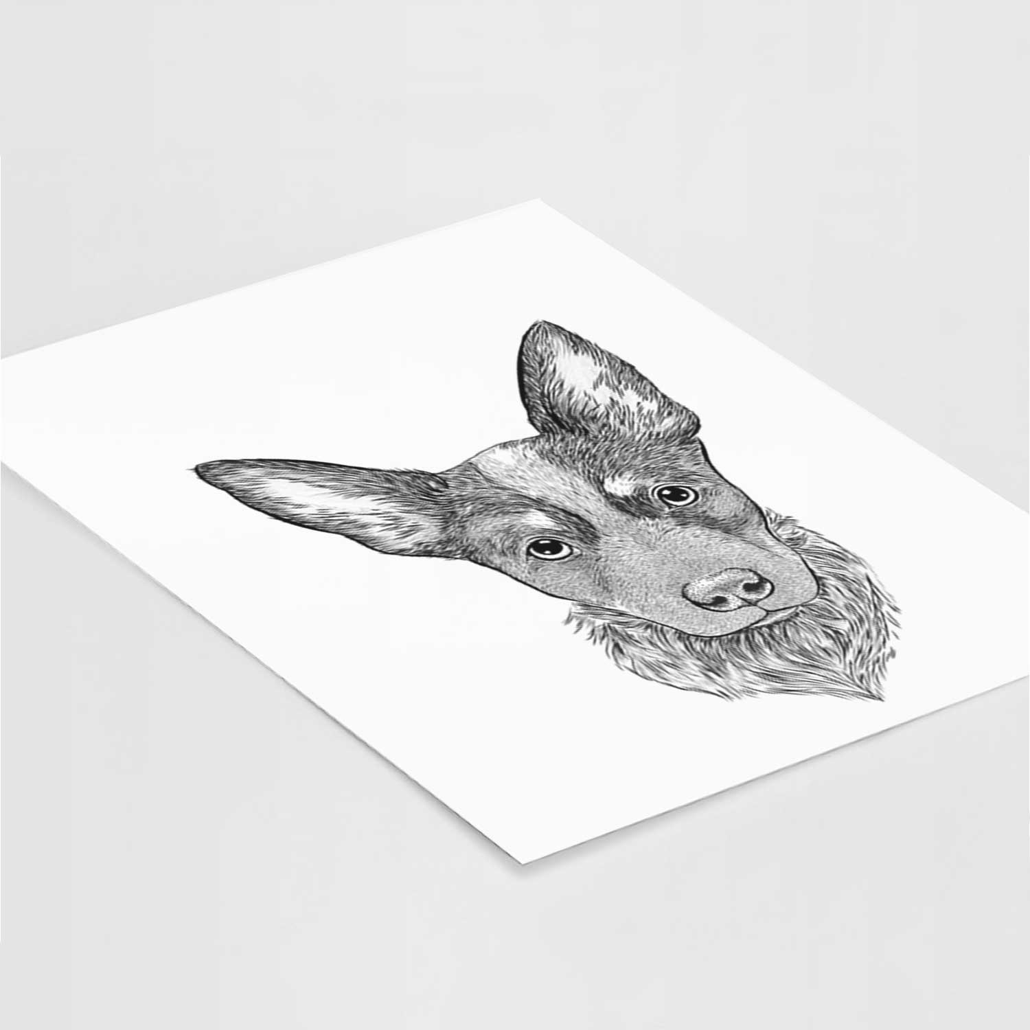 Bella the Blue Heeler Puppy Art Print