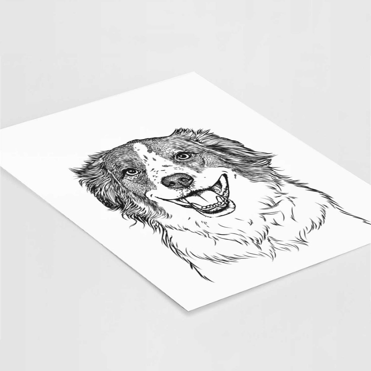 Belle the Australian Shepherd Mix Art Print