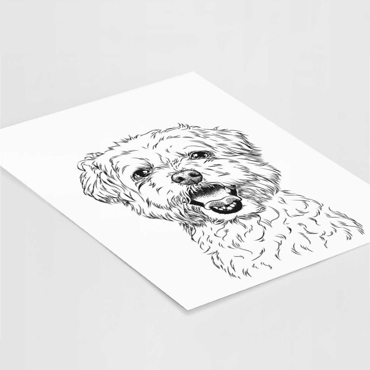 Belle the Maltipoo Art Print