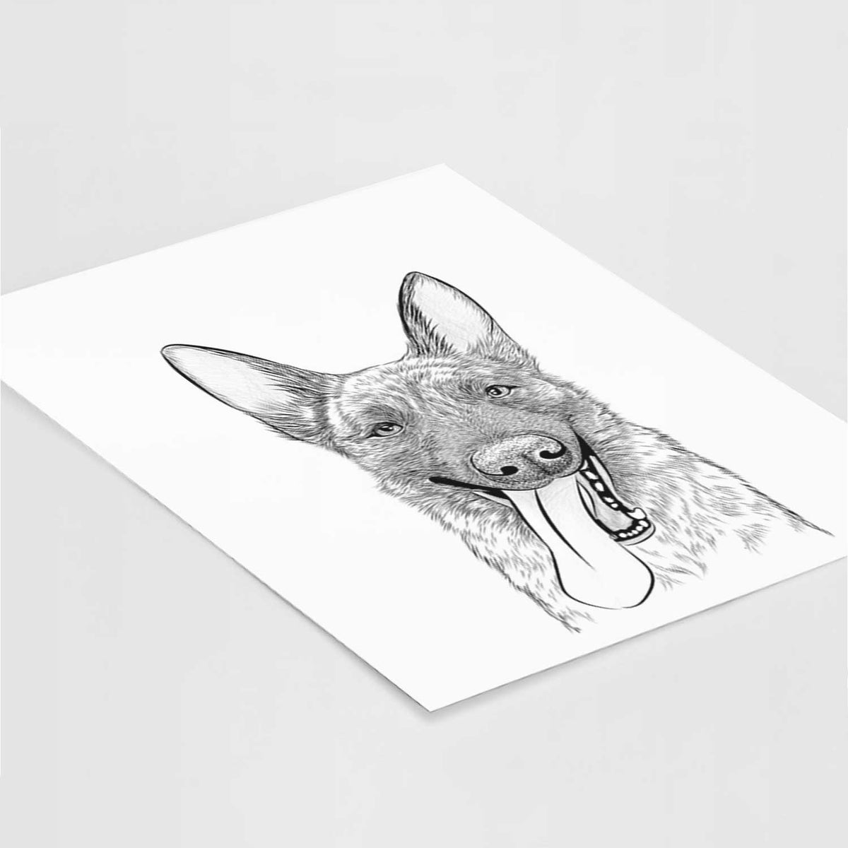 Bessa the Dutch Shepherd Art Print