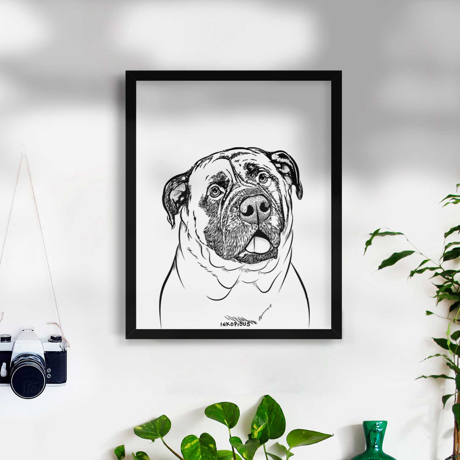 Big P the English Mastiff Art Print