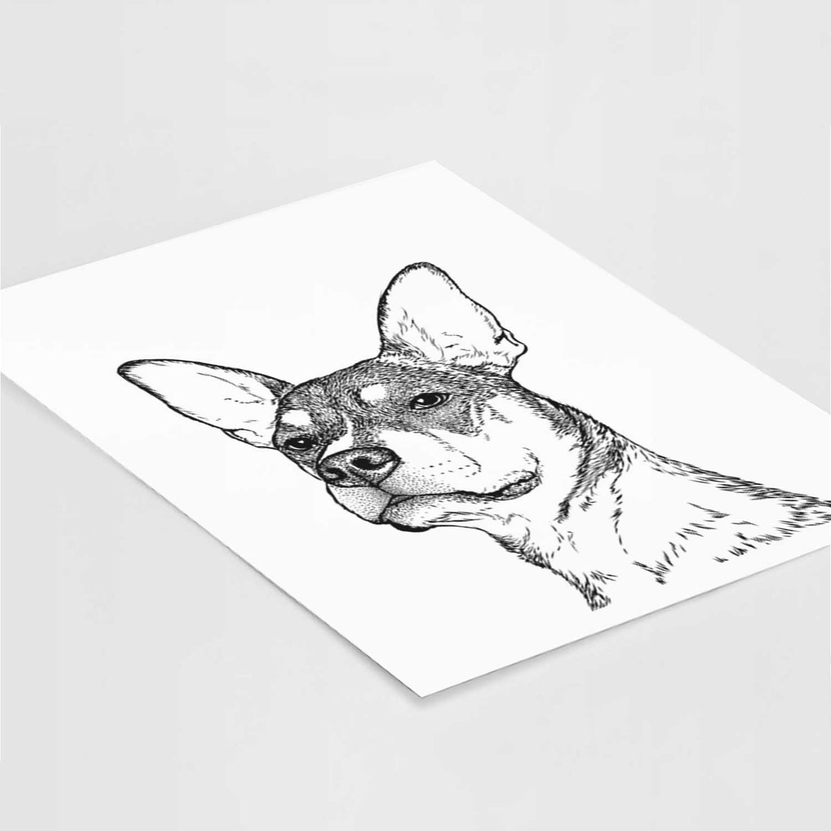 Bill the Heeler Mix Art Print