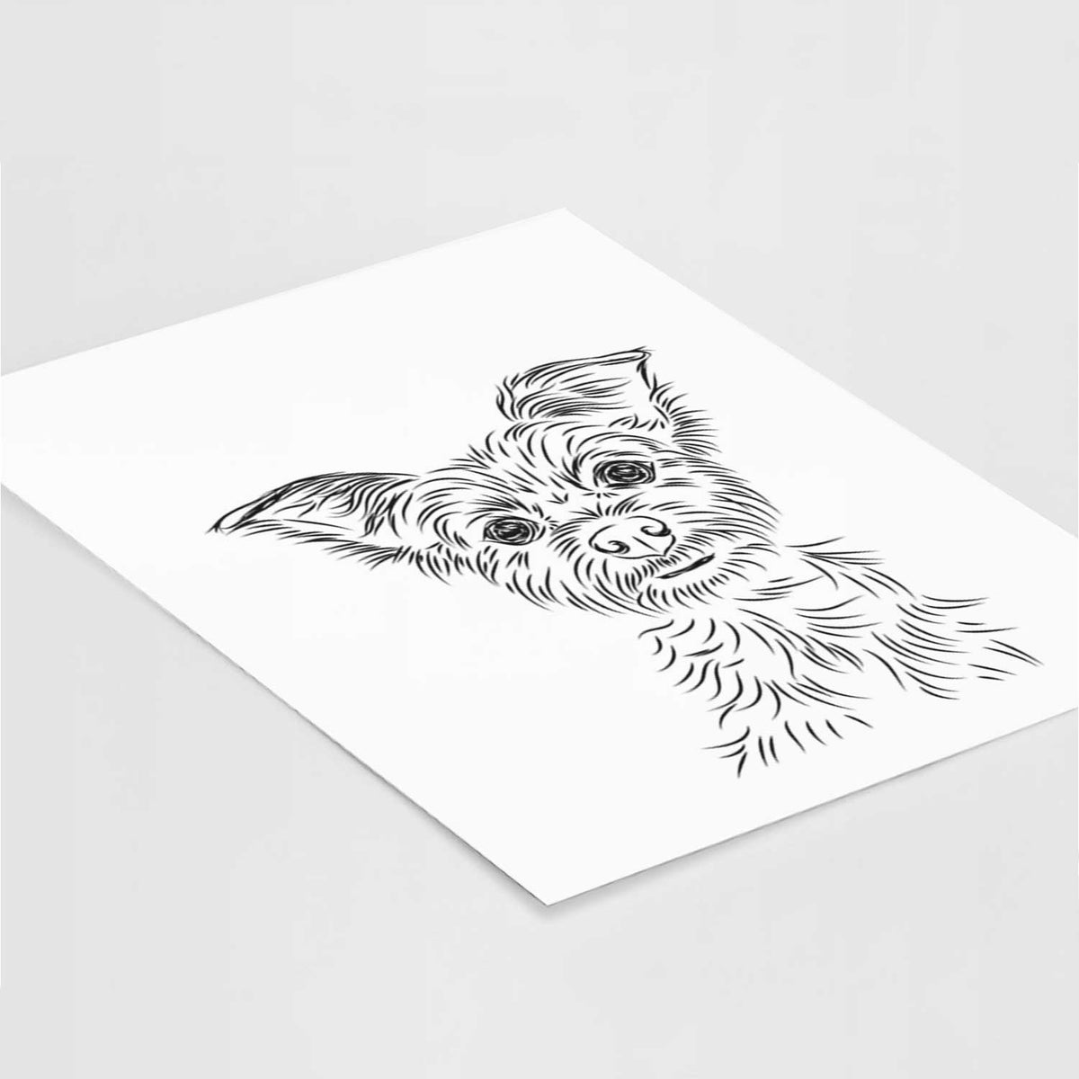 Bingo the Yorkshire Terrier Art Print