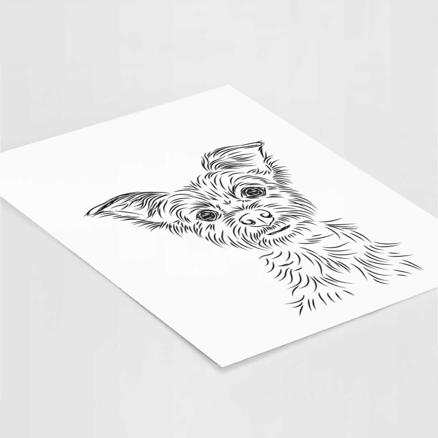 Bingo the Yorkshire Terrier Art Print