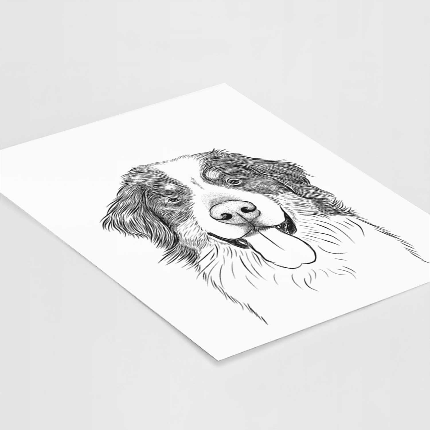 Blaze the Bernese Mountain Dog Art Print