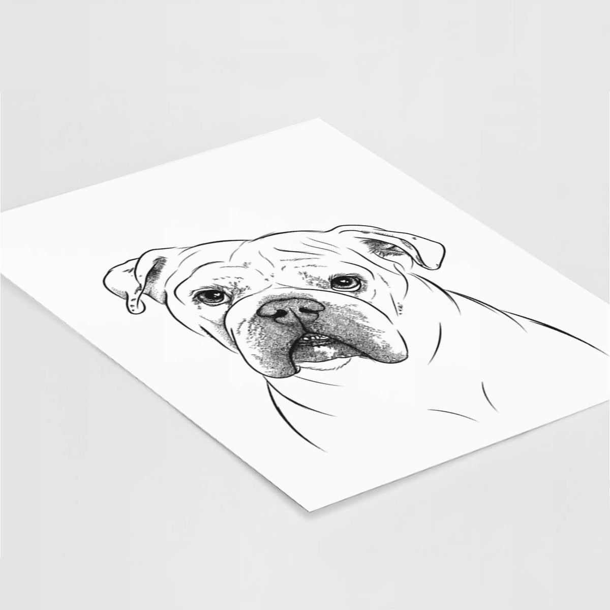 Blossom the English Bulldog Art Print