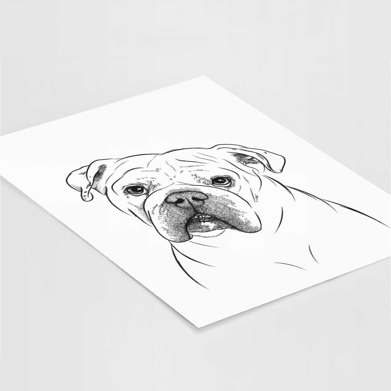 Blossom the English Bulldog Art Print