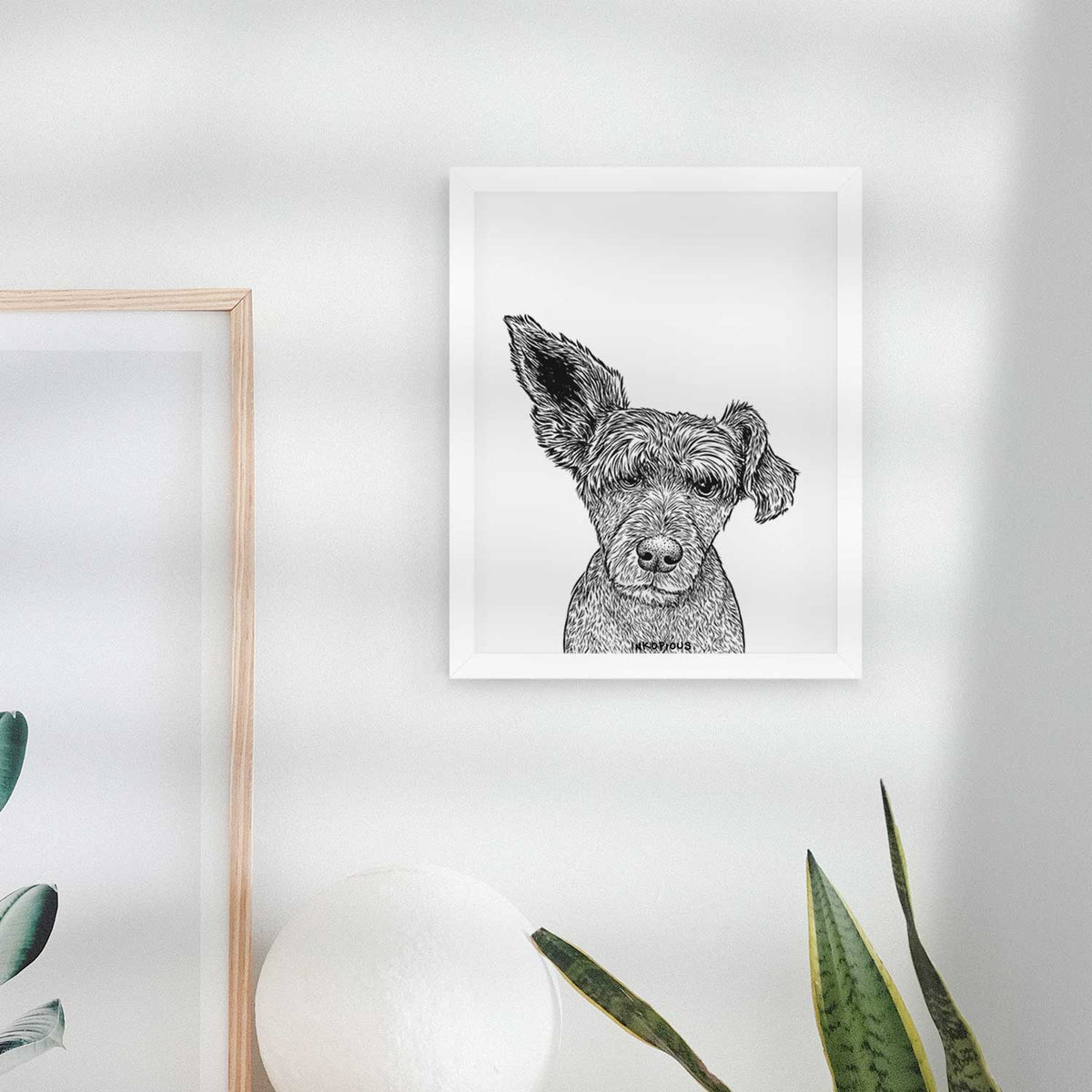Boodles the Schnauzer Mix Art Print