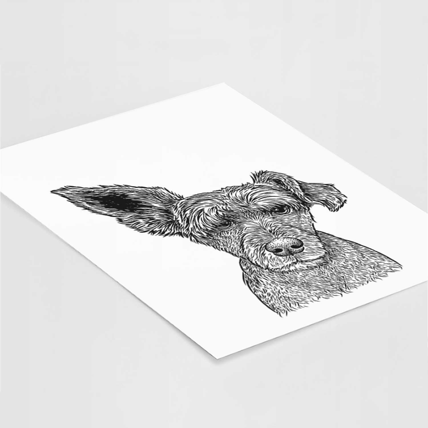 Boodles the Schnauzer Mix Art Print