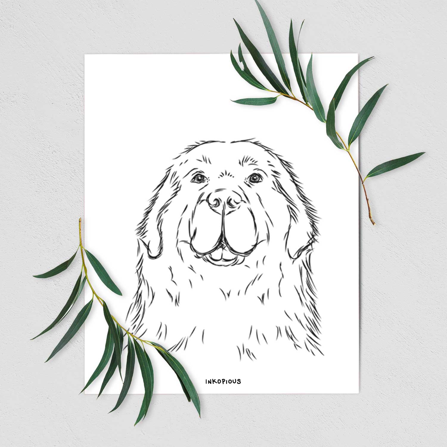 Boomer the Newfoundland Art Print