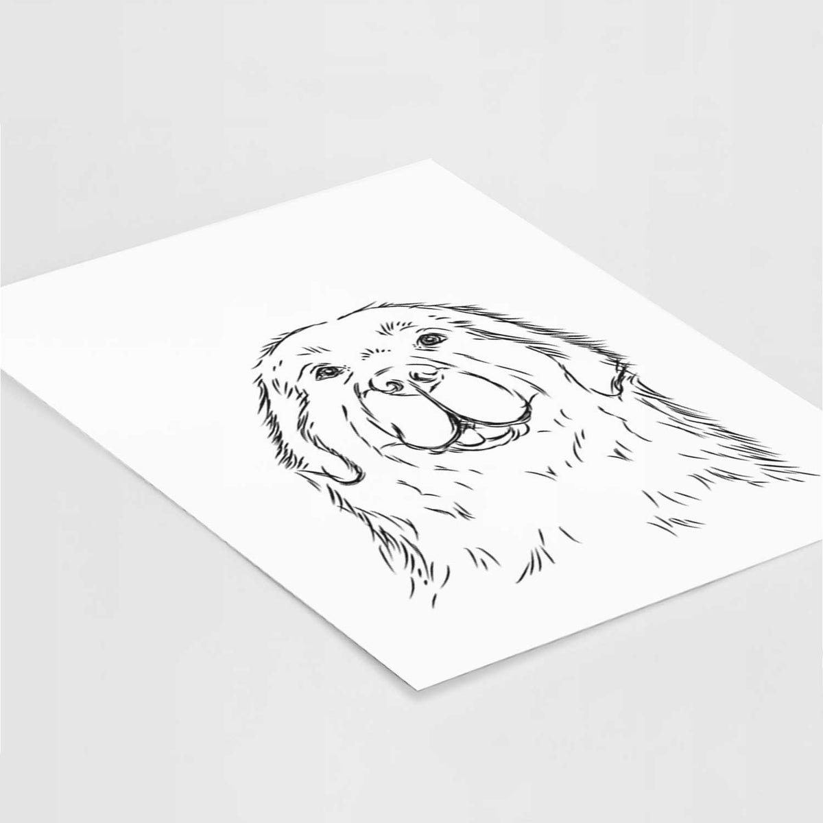 Boomer the Newfoundland Art Print