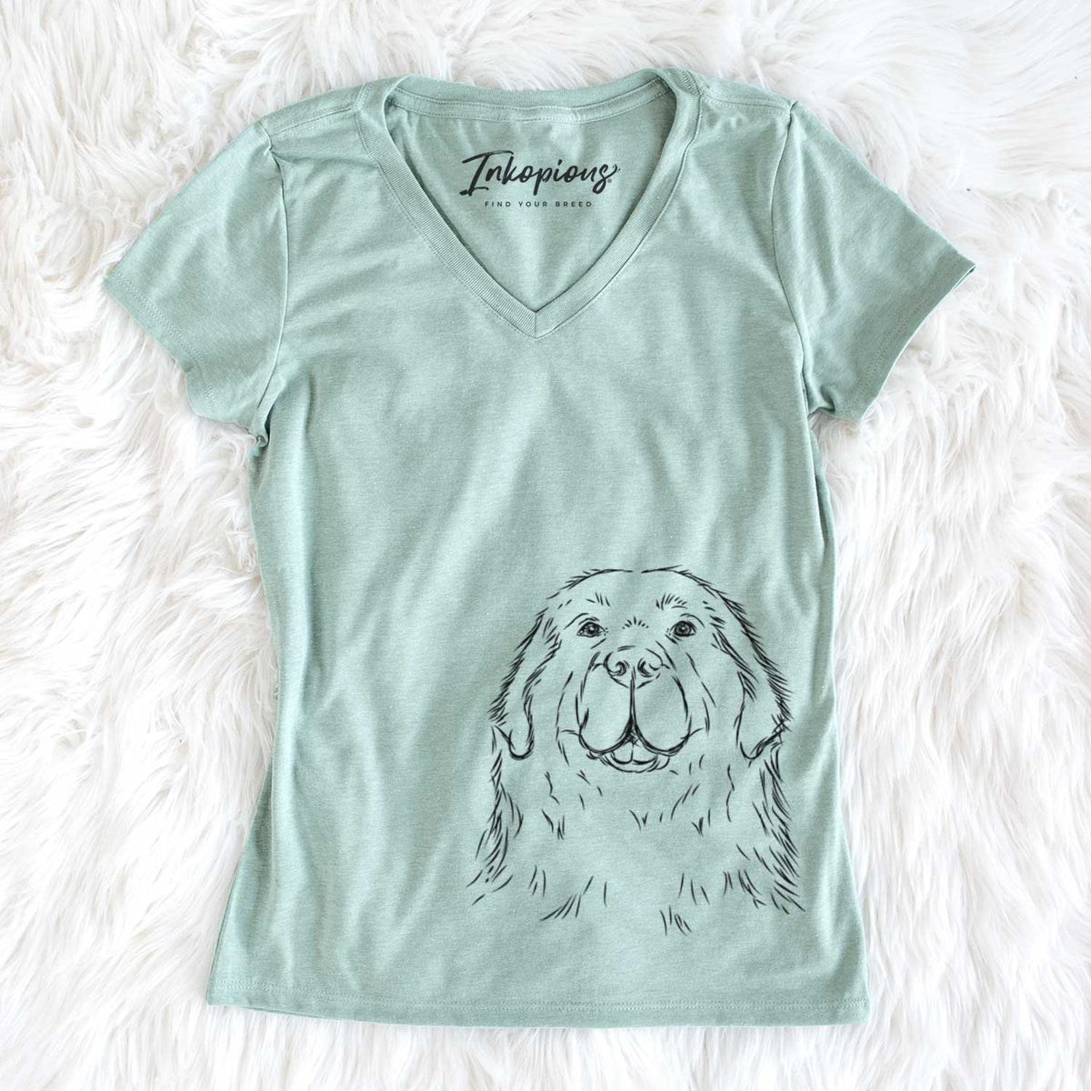 Boomer the Newfoundland - Women's V-neck Shirt