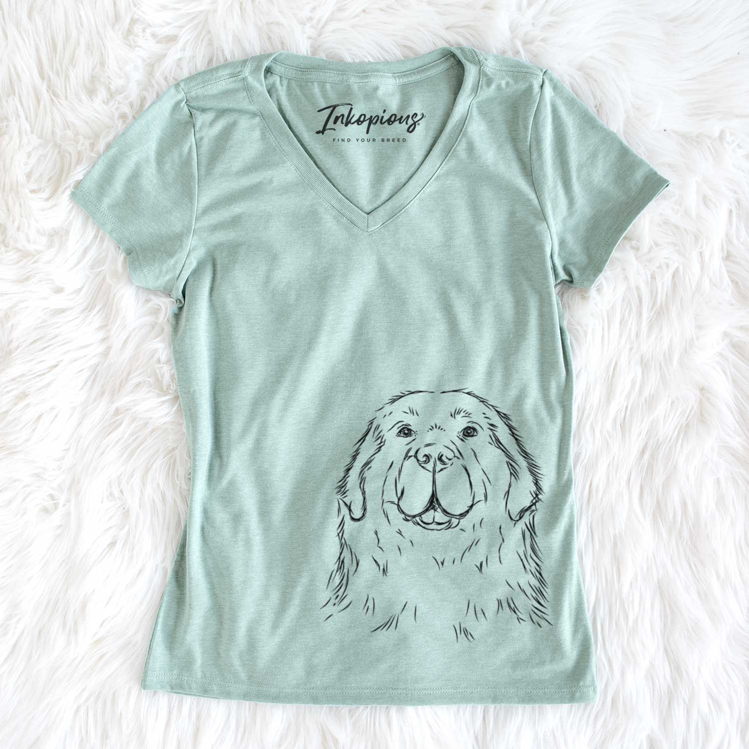 Boomer the Newfoundland - Women's V-neck Shirt