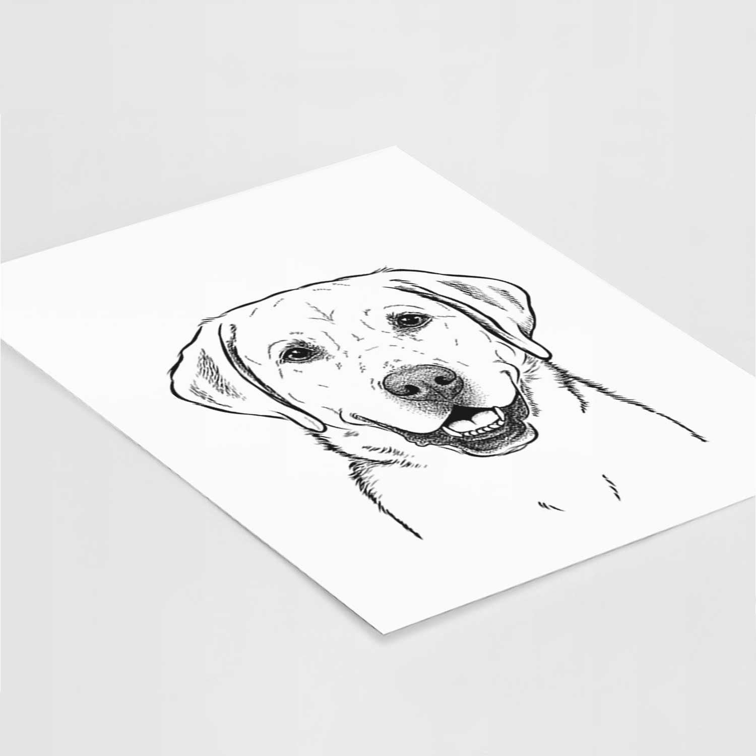 Booney the Labrador Retriever Art Print