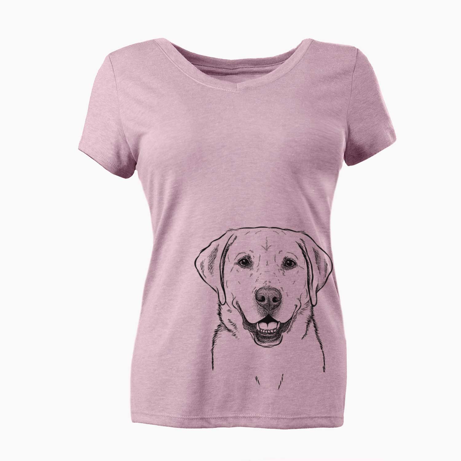 Bare Booney the Labrador Retriever - Women's V-neck Shirt