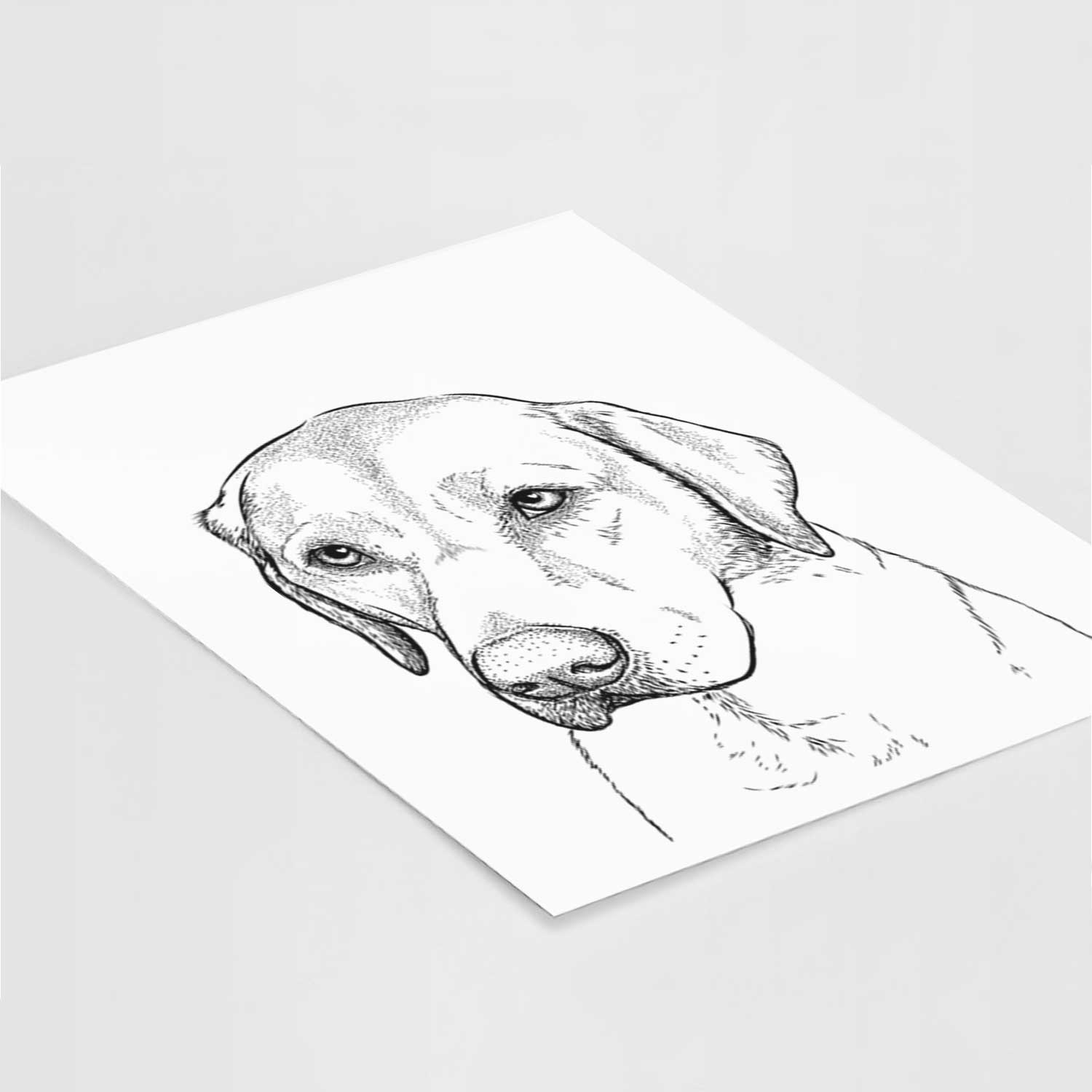 Braxton the Yellow Lab Art Print