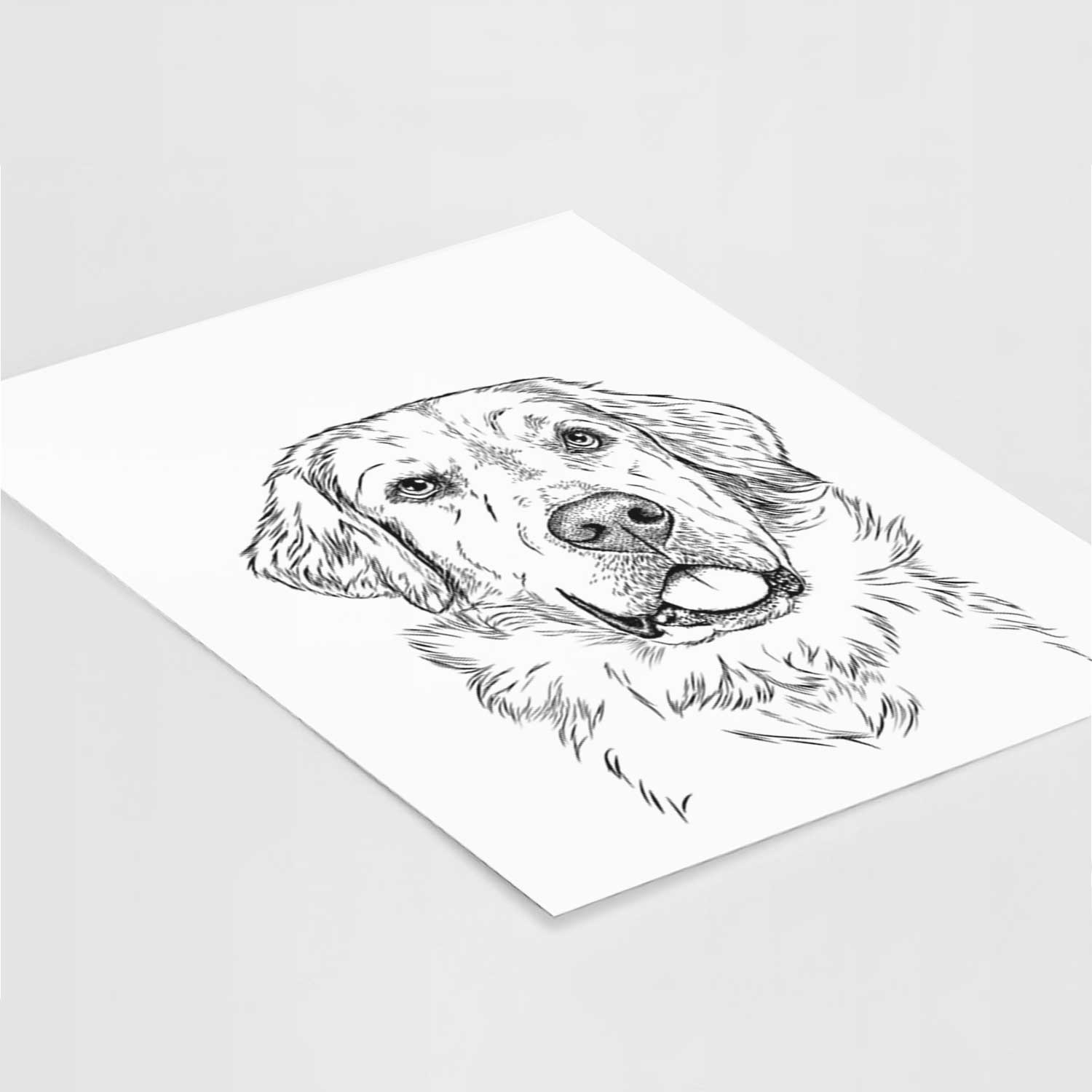 Brophy the Great Pyrenees Art Print