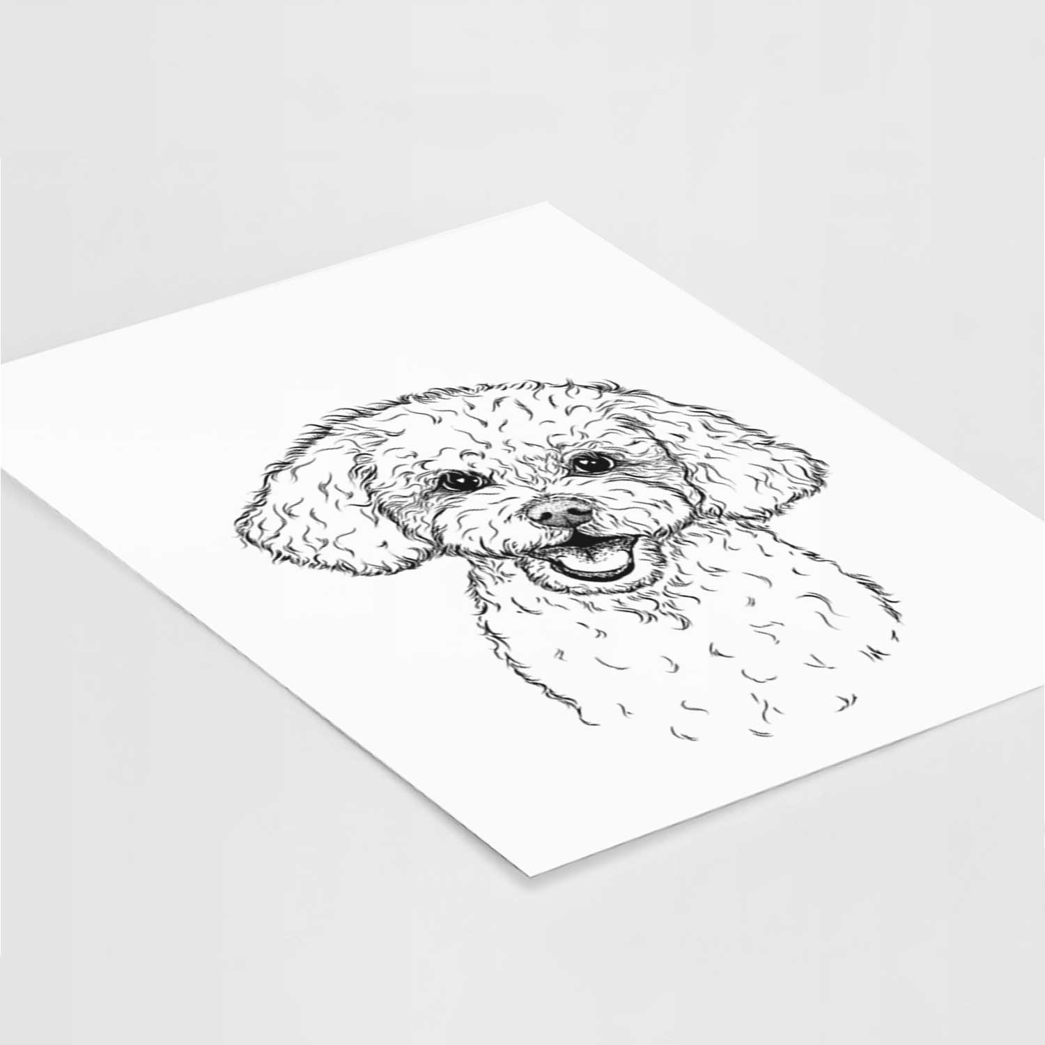 Caesar the Bichon Frise Art Print