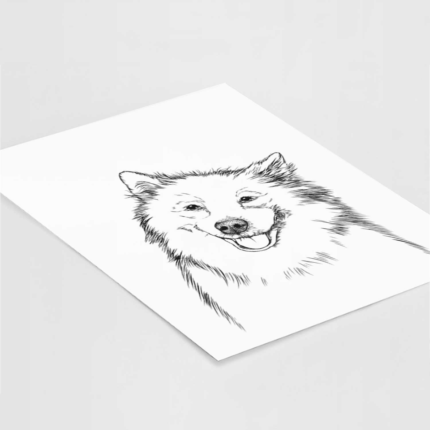 Caico the Samoyed Art Print