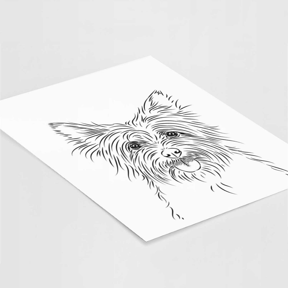 Calum the Cairn Terrier Art Print