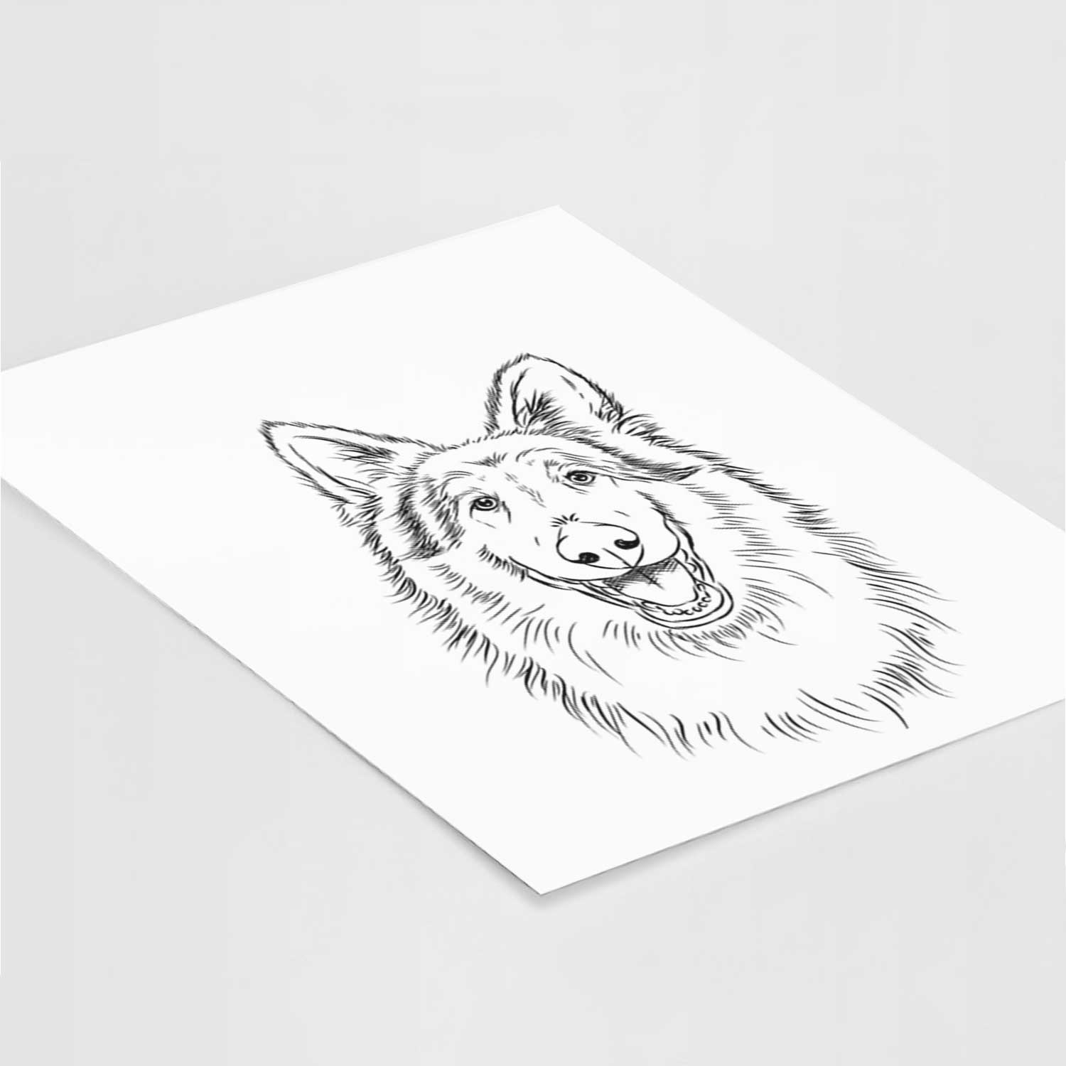 Cannon the Rough Collie Art Print