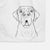 Ceasar the Labrador Hound Mix Decorative Hand Towel