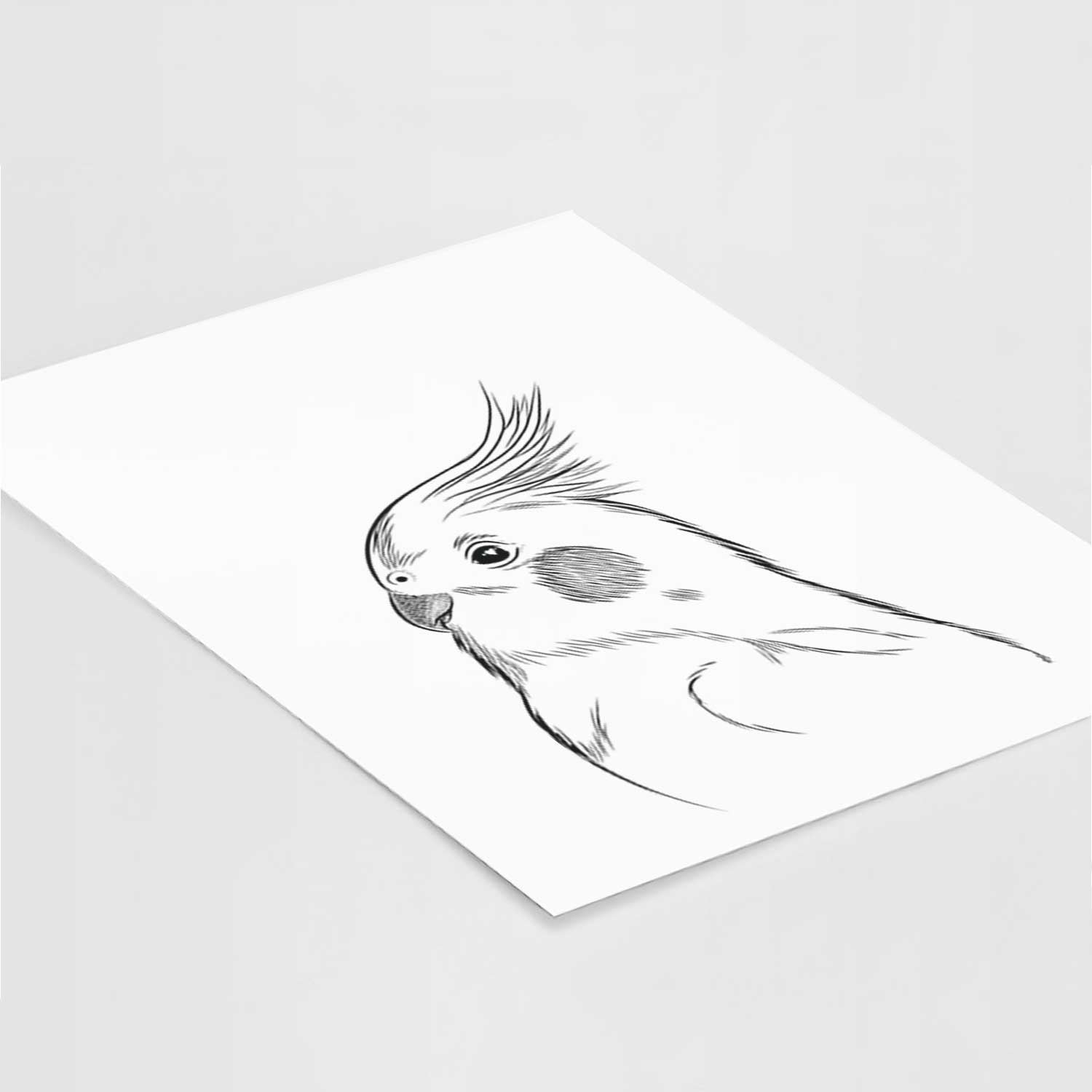 Charlie the Cockatiel Art Print