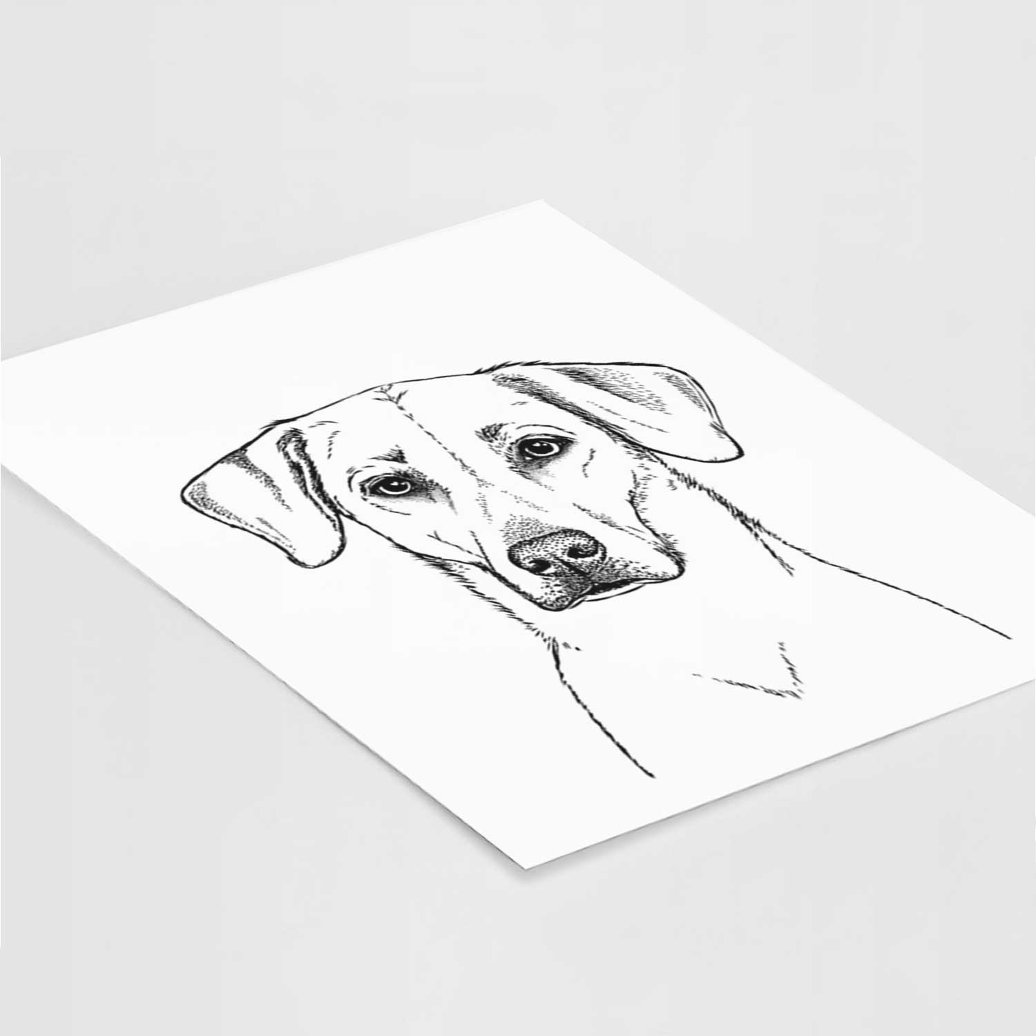 Charlie Girl the Yellow Lab Art Print