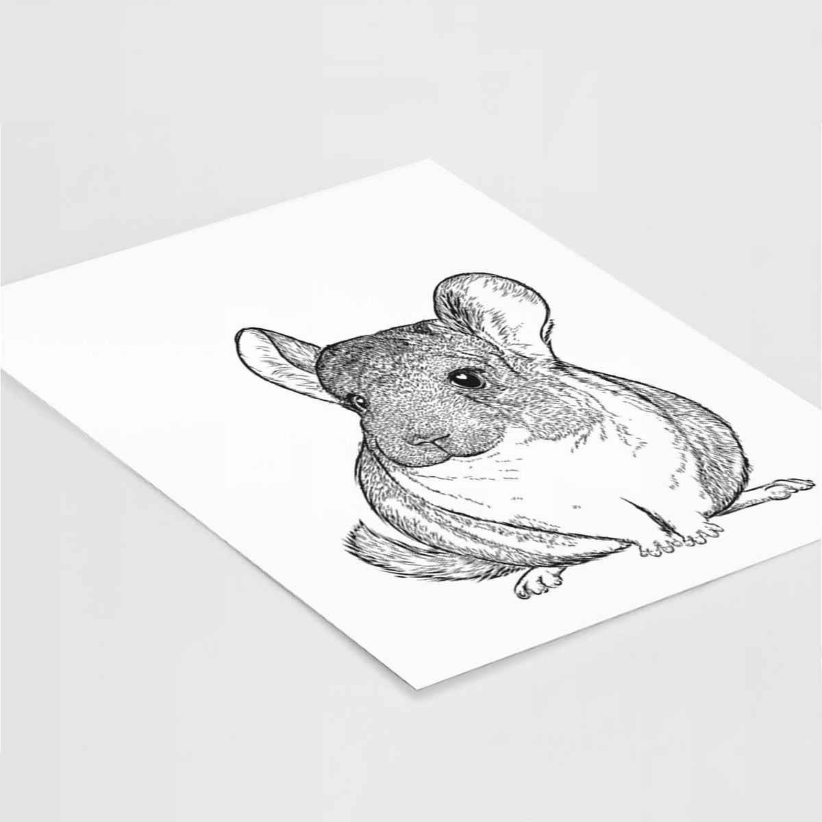 Cheddar the Chinchilla Art Print