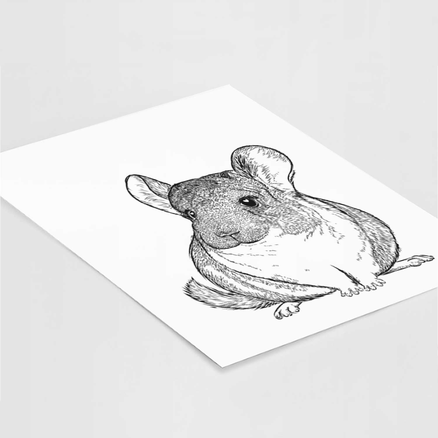 Cheddar the Chinchilla Art Print