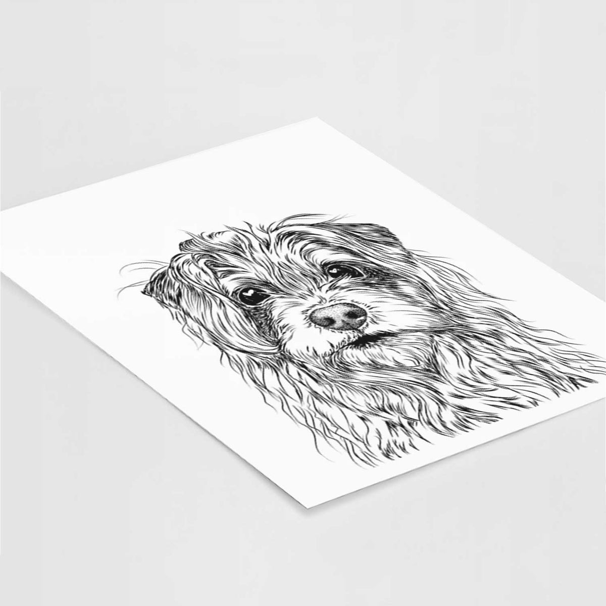 Chester the Terrier Mix Art Print