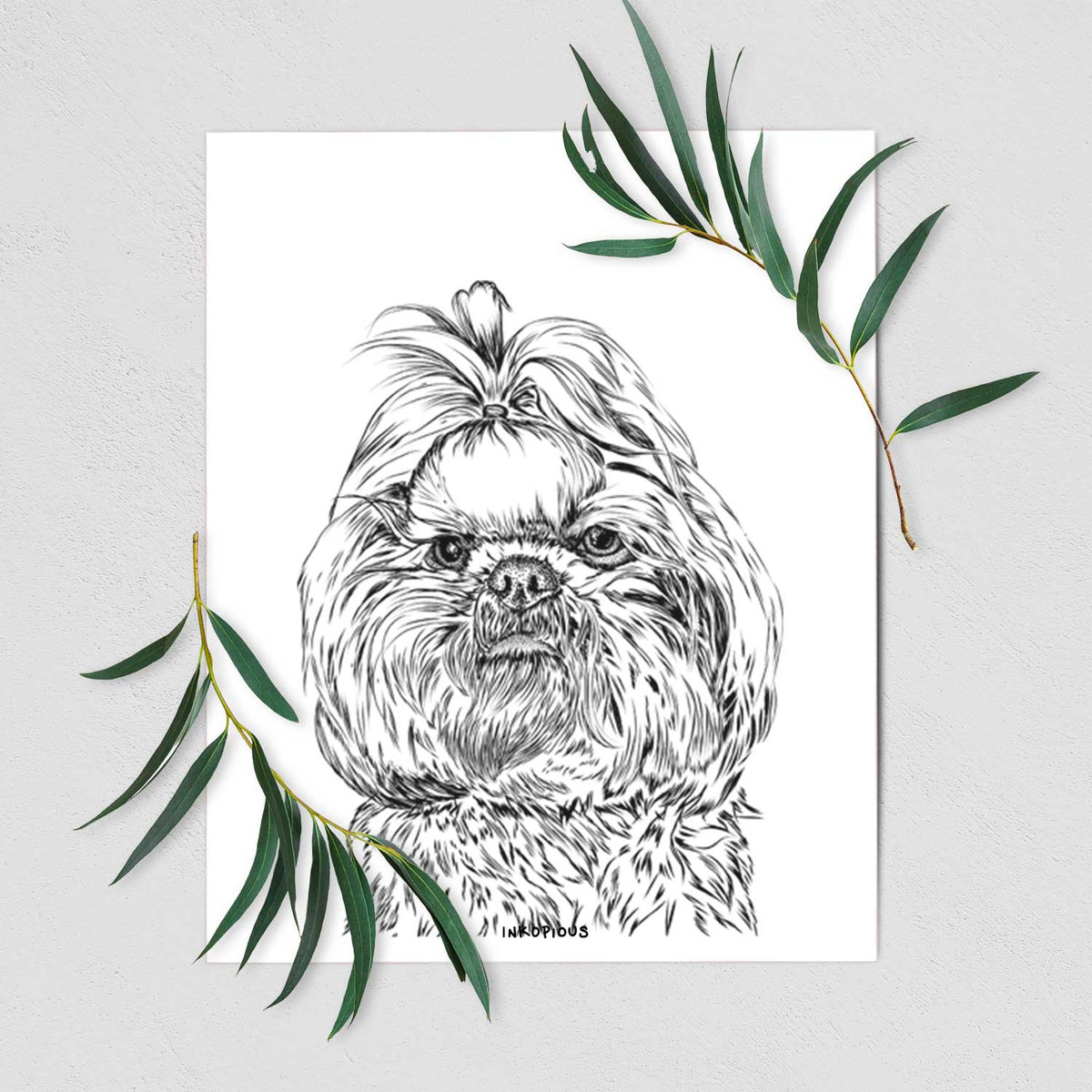 Chewie the Shih Tzu Art Print