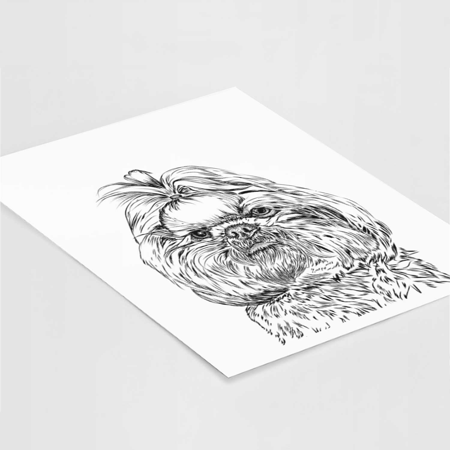 Chewie the Shih Tzu Art Print