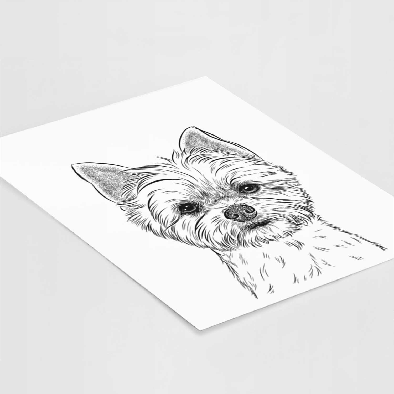 Chewy the Yorkshire Terrier Art Print